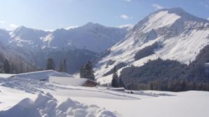 rodelausflug-grieralm-31-01-2010-105