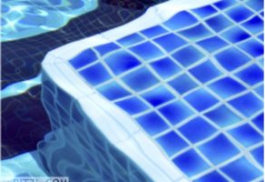 Wasserwelt …