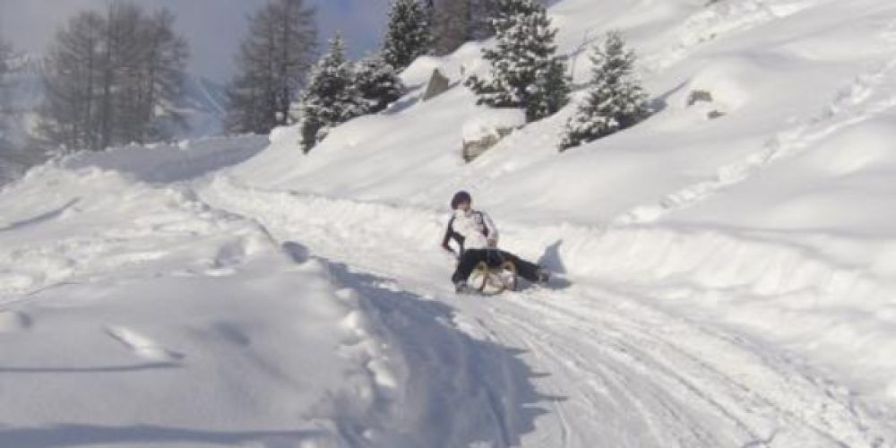 Rodelbahnen
