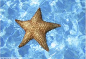 Erlebnistherme und Freibad …