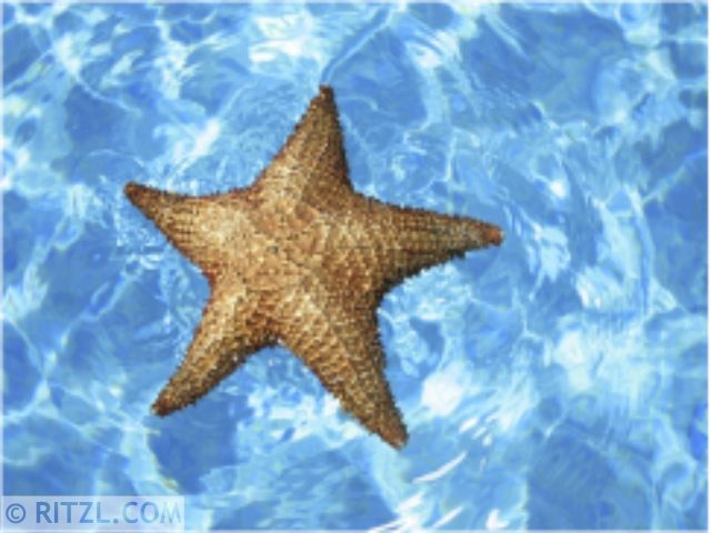 Erlebnistherme und Freibad …