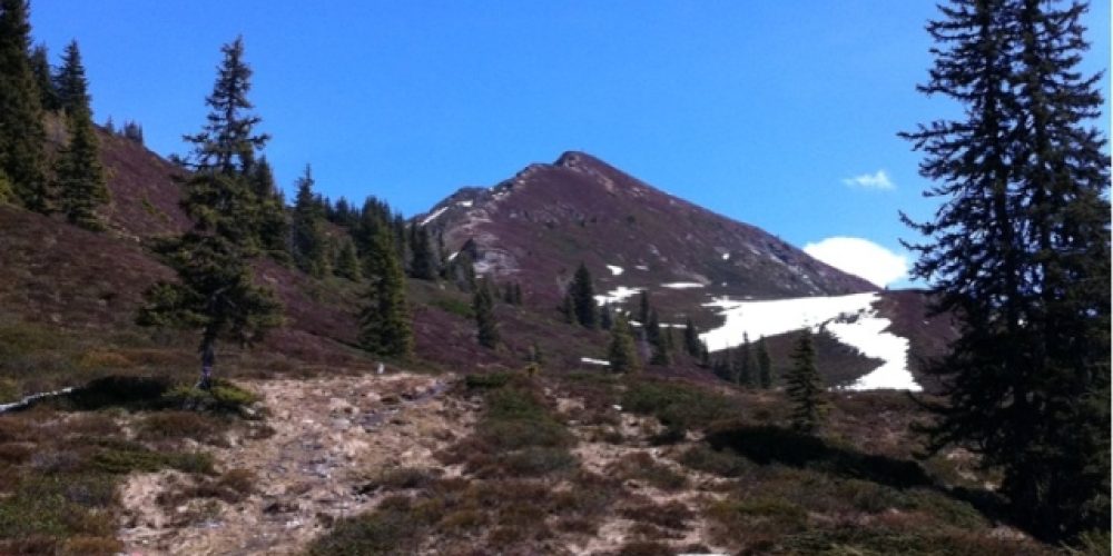 Wanderung auf den Hamberg